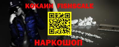 мдпв Камышлов