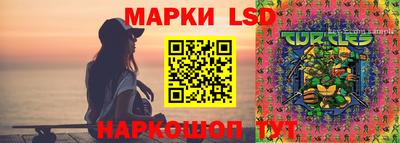 мдпв Камышлов