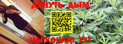 мдпв Камышлов