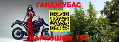 мдпв Камышлов