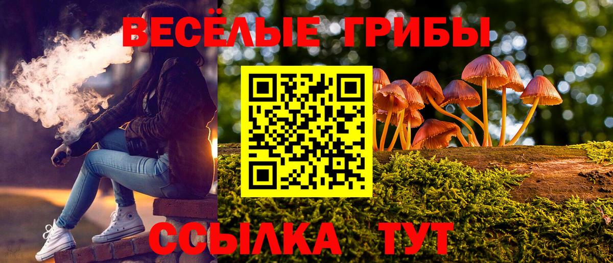 Псилоцибиновые грибы Psilocybe Конаково